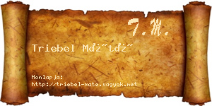Triebel Máté névjegykártya